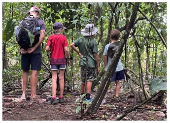 Familienwanderung im Wald